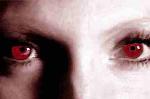 We see what we want to